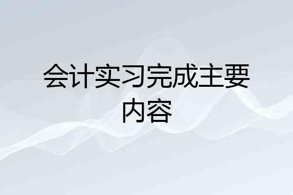 会计实习完成主要内容