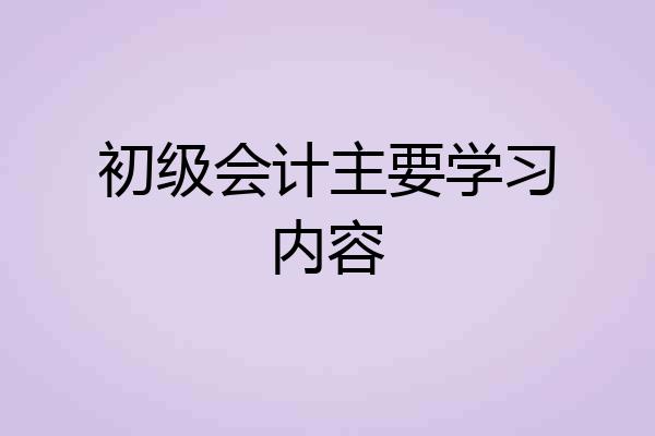 初级会计主要学习内容