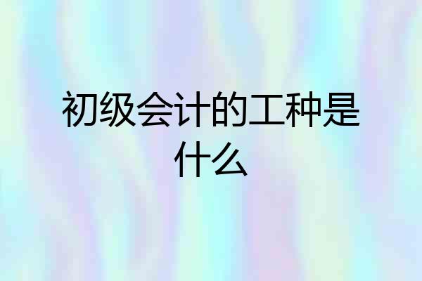 初级会计的工种是什么