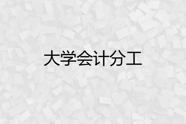 大学会计分工