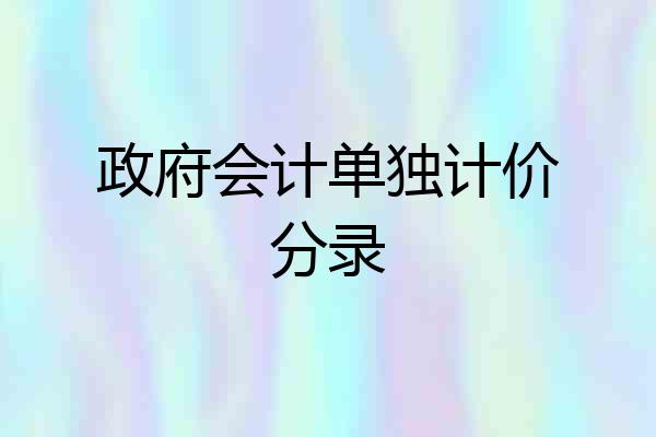 政府会计单独计价分录