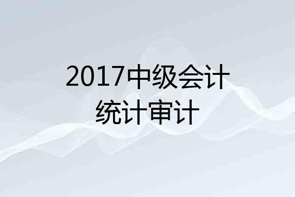 2017中级会计统计审计