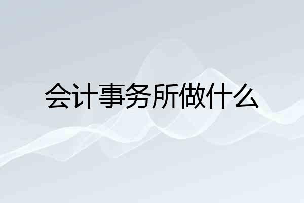 会计事务所做什么