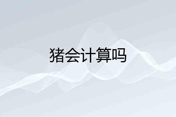 猪会计算吗