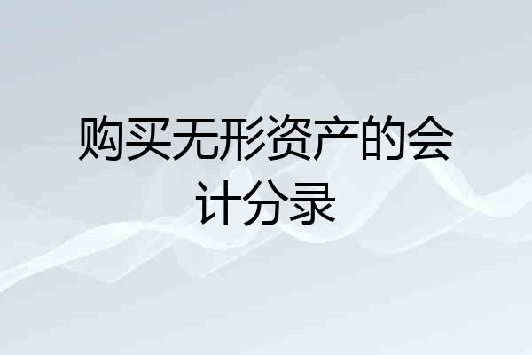 购买无形资产的会计分录