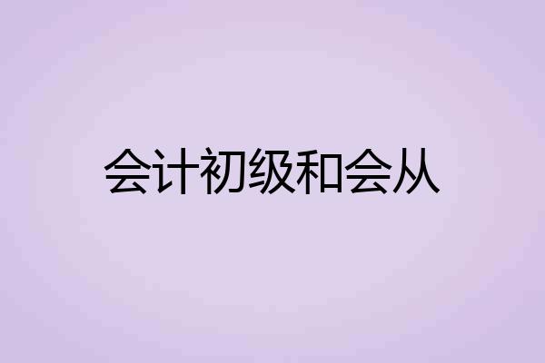 会计初级和会从