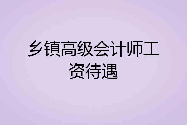 乡镇高级会计师工资待遇