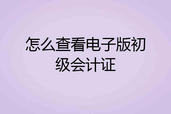 怎么查看电子版初级会计证