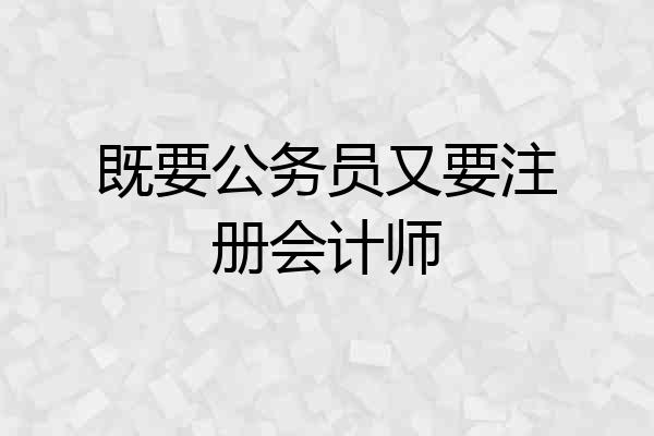 既要公务员又要注册会计师