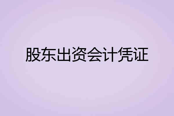 股东出资会计凭证