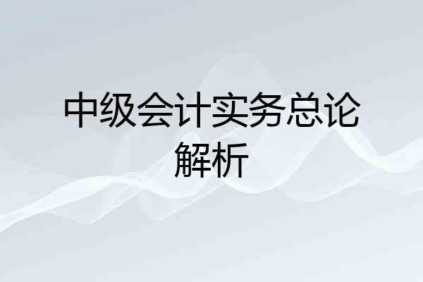 中级会计实务总论解析