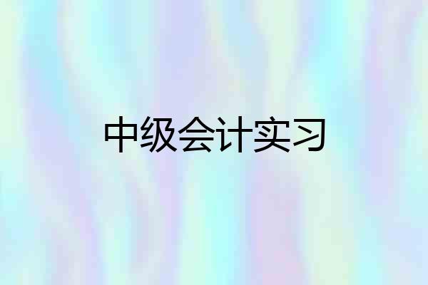 中级会计实习