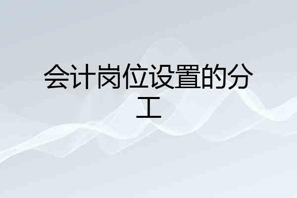 会计岗位设置的分工