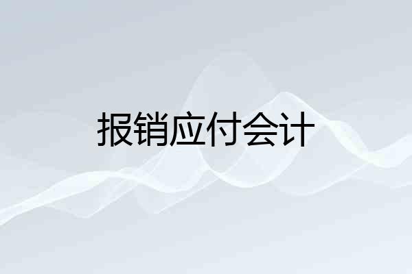 报销应付会计