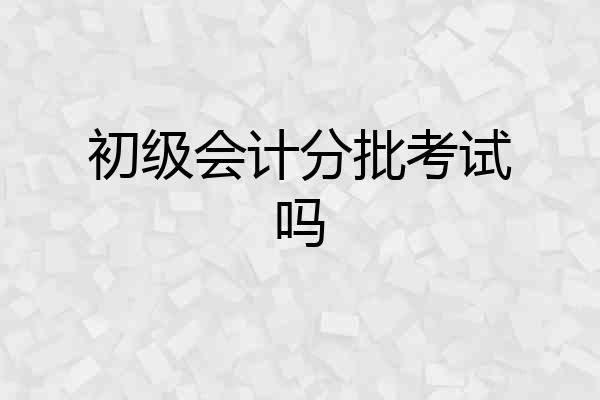 初级会计分批考试吗