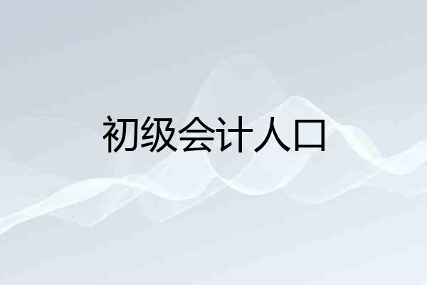 初级会计人口