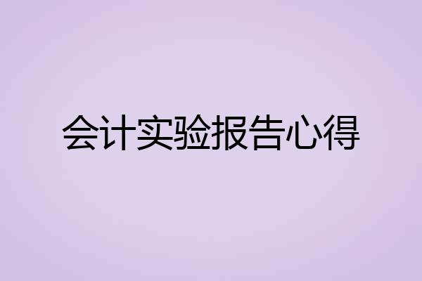 会计实验报告心得