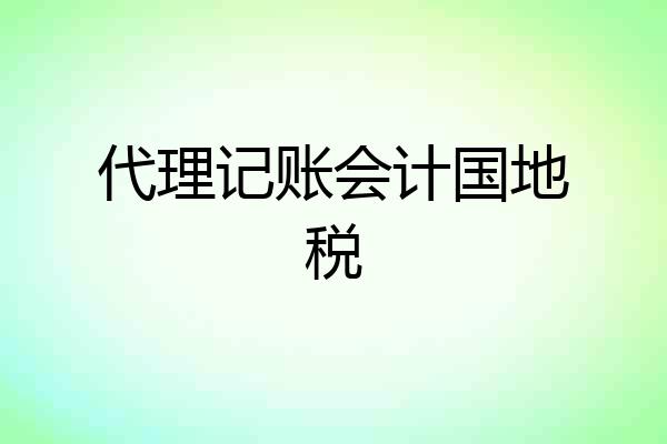 代理记账会计国地税