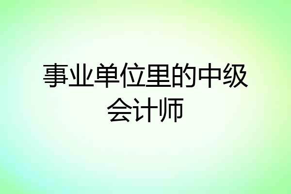 事业单位里的中级会计师