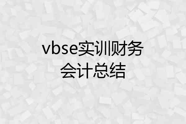 vbse实训财务会计总结