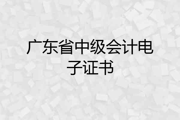 广东省中级会计电子证书