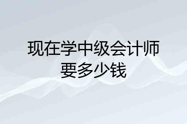 现在学中级会计师要多少钱