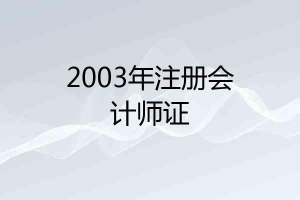 2003年注册会计师证