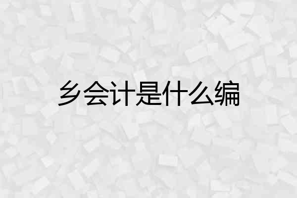 乡会计是什么编