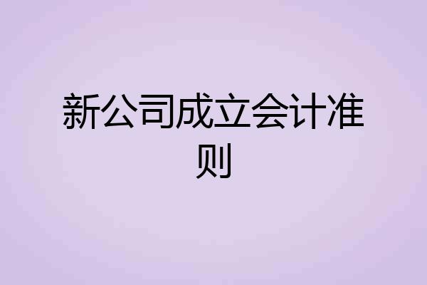新公司成立会计准则