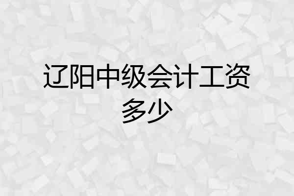 辽阳中级会计工资多少