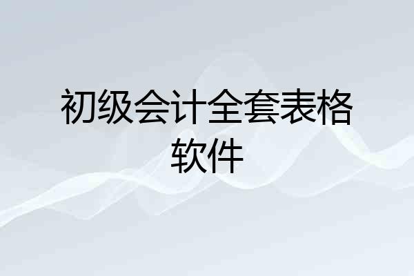 初级会计全套表格软件