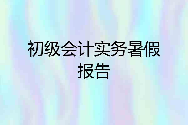 初级会计实务暑假报告