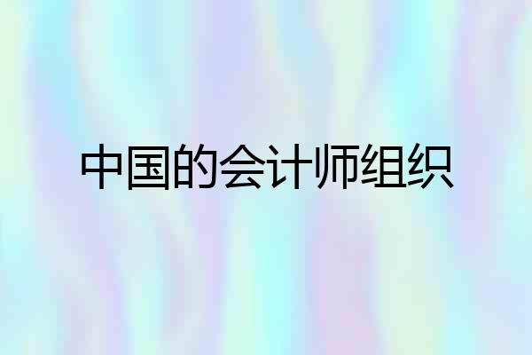 中国的会计师组织