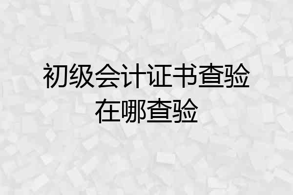 初级会计证书查验在哪查验