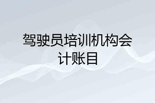 驾驶员培训机构会计账目