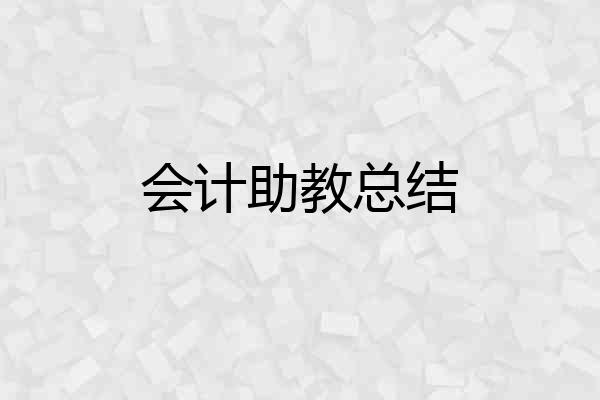 会计助教总结