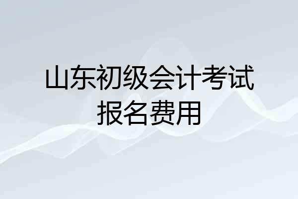 山东初级会计考试报名费用