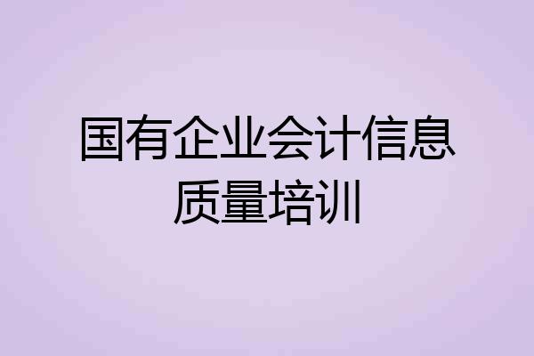 国有企业会计信息质量培训