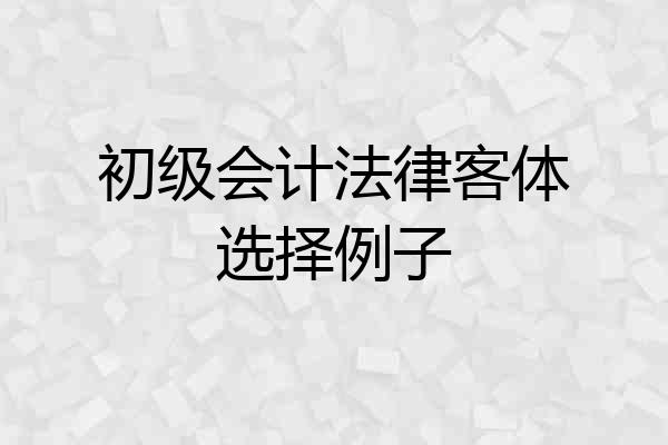 初级会计法律客体选择例子