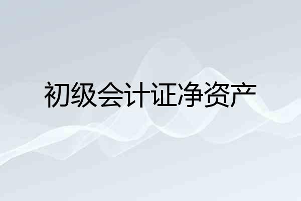 初级会计证净资产