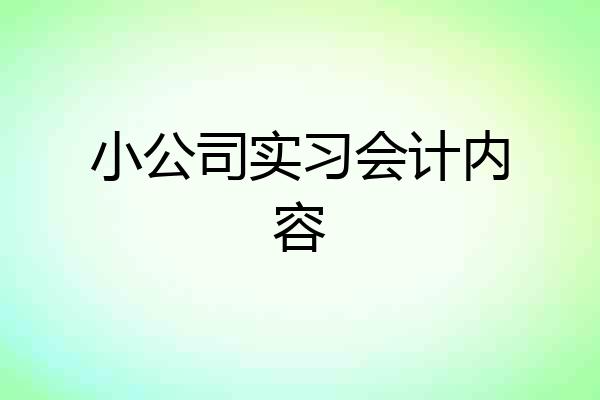 小公司实习会计内容