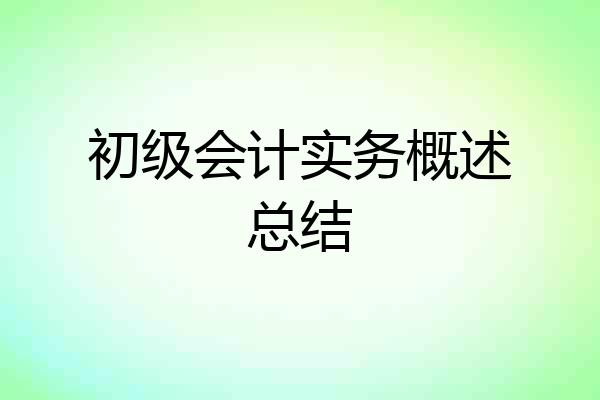 初级会计实务概述总结