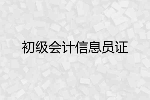初级会计信息员证