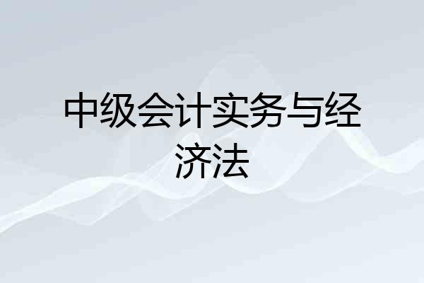 中级会计实务与经济法