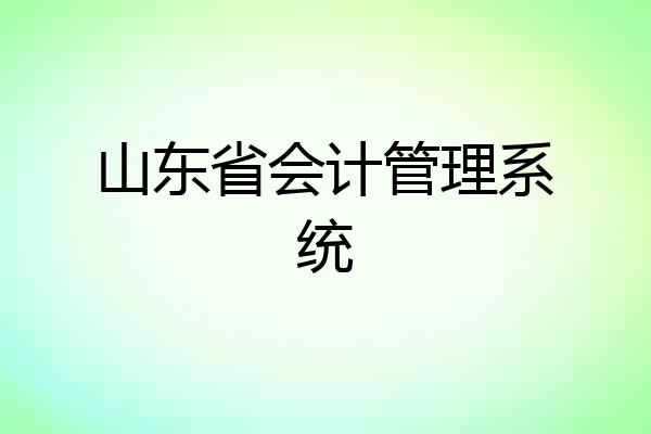 山东省会计管理系统