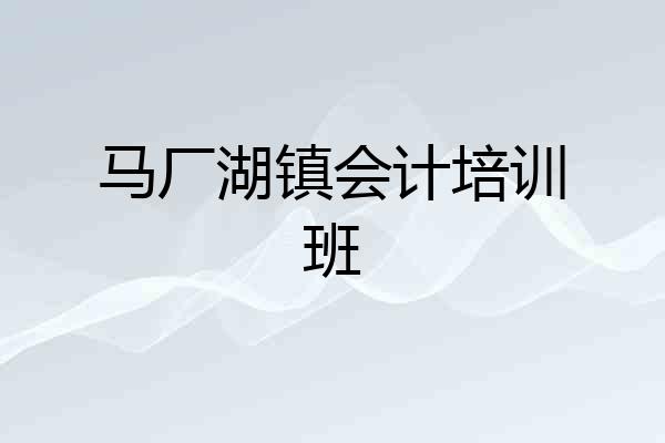 马厂湖镇会计培训班