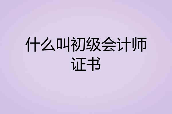 什么叫初级会计师证书