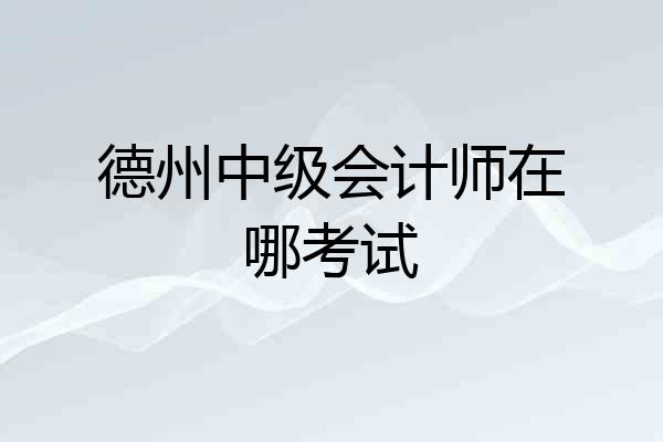 德州中级会计师在哪考试
