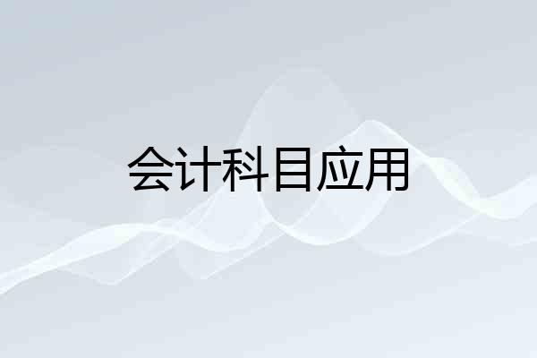 会计科目应用