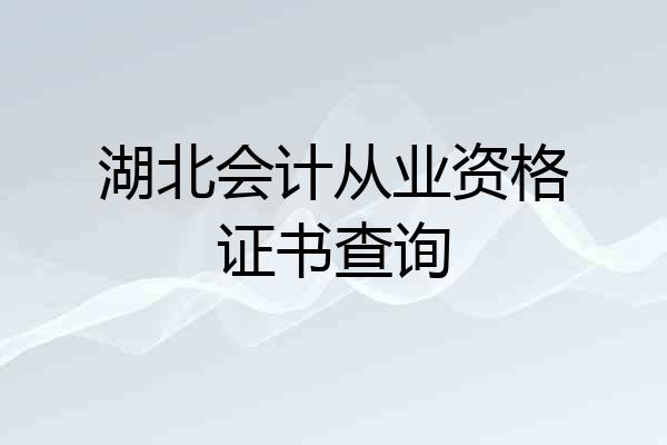 湖北会计从业资格证书查询